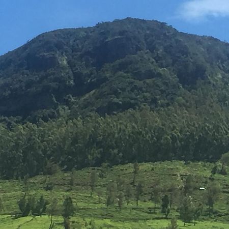 Perera Homestay Nuwara Eliya Dış mekan fotoğraf