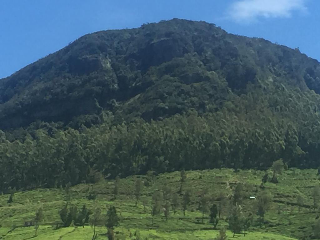 Perera Homestay Nuwara Eliya Dış mekan fotoğraf