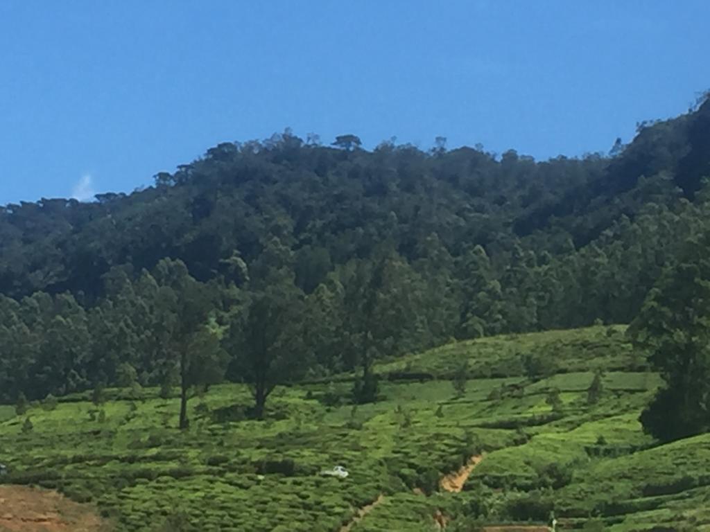 Perera Homestay Nuwara Eliya Dış mekan fotoğraf